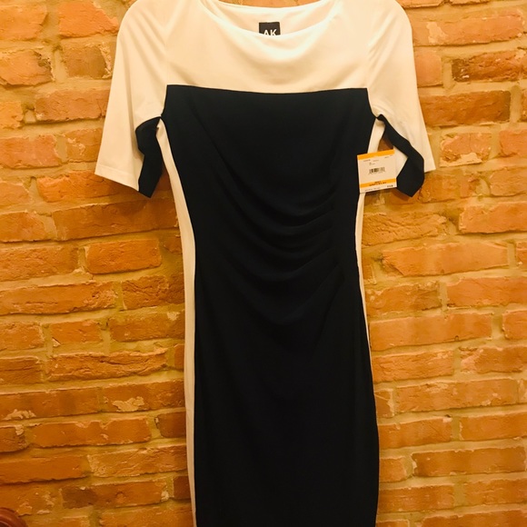 NWT Anne Klein Color block Career Dress. 💕 - Picture 2 of 3